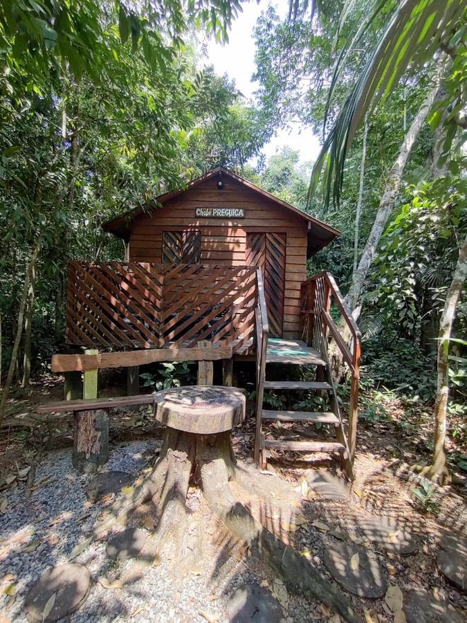 Hotel Refúgio Samauma Manaos Exterior foto